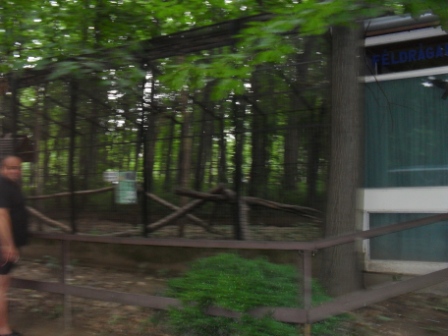 SDC12280