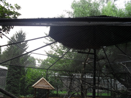 SDC12283