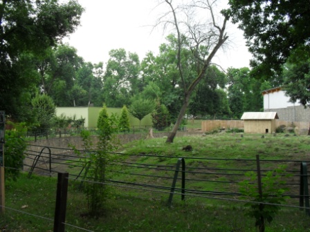 SDC12284