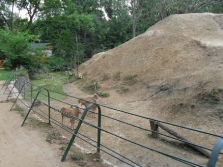SDC12304