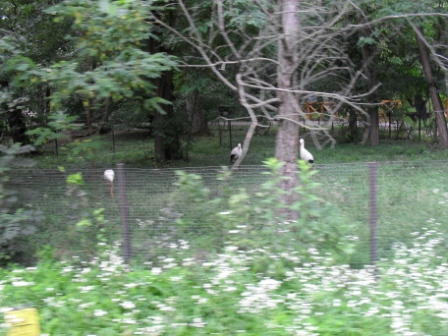 SDC12305