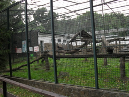 SDC12307