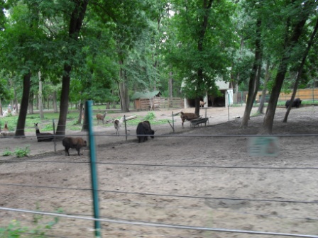 SDC12311