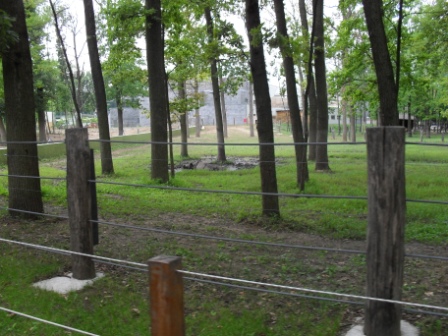 SDC12315