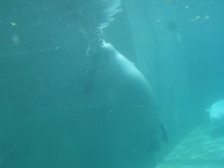 SDC12324