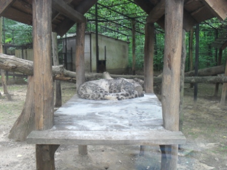 SDC12372