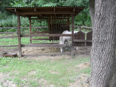 SDC12373