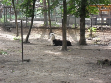 SDC12383
